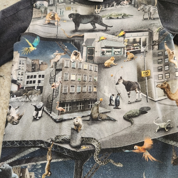 Molo Top size 104 EUC - Picture 2 of 5